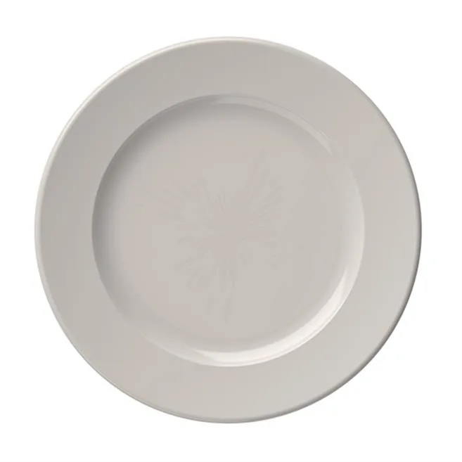 Transparent Frame Flat Plate 17 cm